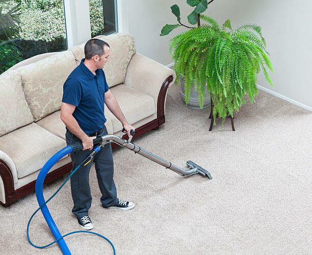 5 Questions You Need To Ask When Hiring A Carpet Cleaning Company