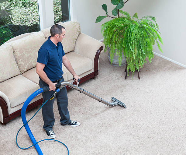 5 Questions You Need To Ask When Hiring A Carpet Cleaning Company